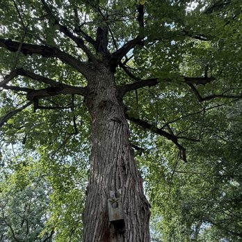 Ogden Botanical Gardens - Parks Near Me - Valparaiso, Indiana