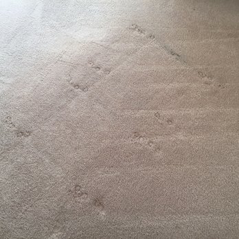 Pride Carpet and Tile Cleaning Services - After - Carpet Cleaning Near Me Pride Carpet and Tile Cleaning Services - After - Carpet Cleaning Near Me