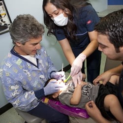 Castellano & Carpenter Dental Associates - Castellano & Carpenter Dental Associates |  Dentistry for children and teens | Laredo TX