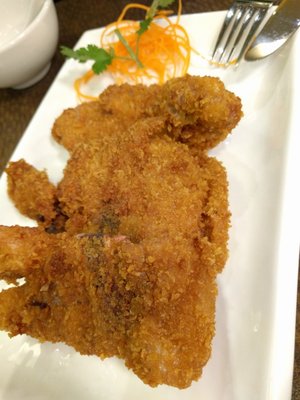 Captain's Catch by null