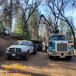Ridge Logging - Time to get creative! Clearing storm damage with out causing damage to landscape and septic's!
