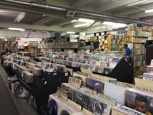 Jerry's Records by null