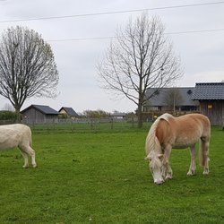 Glessener Mühlenhof