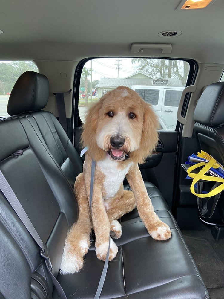 WOOF GANG BAKERY & GROOMING PAWLEYS ISLAND 10880 Ocean Hwy, Pawleys