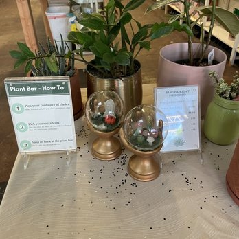 Jade & Clover - Plant bar how to! - Nurseries & Gardening Near Me - Phoenix, Arizona