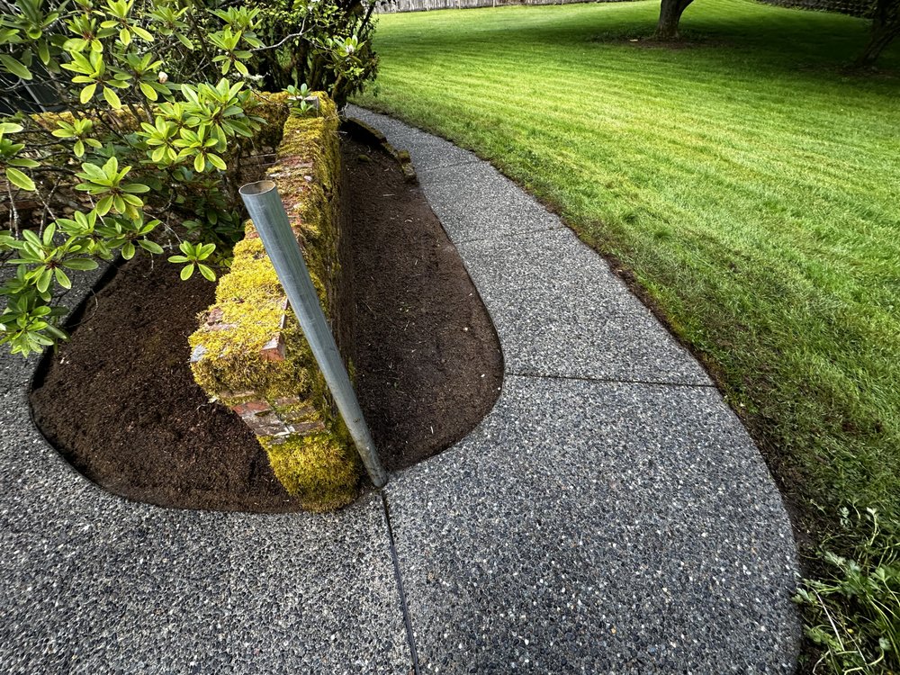 Slide of Apex Pro Kleening