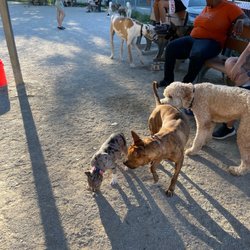 Lakewood Dog Park