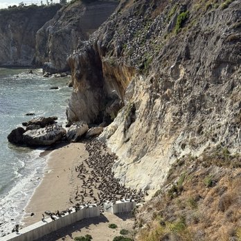 Ventana Grill - Latin American Near Me - Pismo Beach, California Ventana Grill - Latin American Near Me - Pismo Beach, California