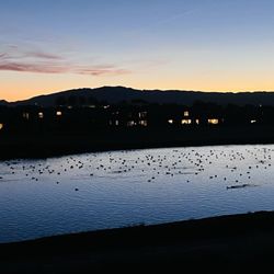 The Fish Rock Grille - View of lake with water foul at dusk
