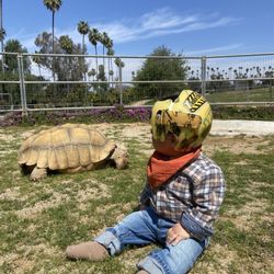 Wake Farms - We got to pet their huge turtle