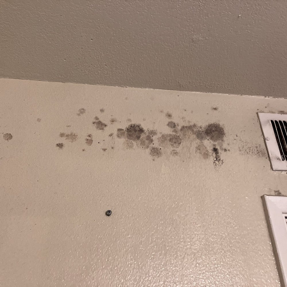 Bubbles Cleaning Service - Pictures of the area's I need done - Home Cleaning Near Me