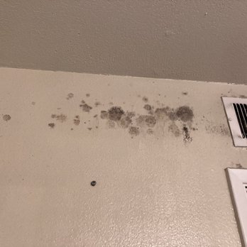 Bubbles Cleaning Service - Pictures of the area's I need done - The image shows a section of a ceiling with visible dark mold or mildew stains near an air vent. The stains are spread across the ceiling surface, suggesting possible moisture or ventilation problems. The ceiling has a textured finish, and the air vent is metallic with black slats, positioned towards the right side of the image. - Home Cleaning Near Me