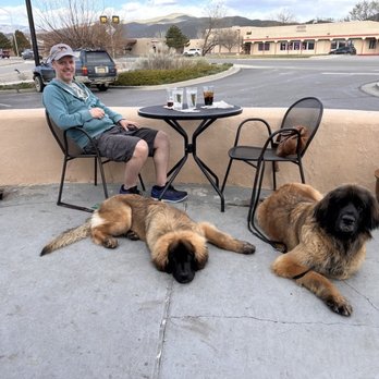 5 Star Burgers - Our pups enjoying the patio - Burgers Near Me - Taos, New Mexico