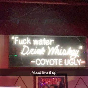 Coyote Ugly - A pic of inside the bar with a cool caption that is agree with a hundred percent. - Dive Bars Near Me - Tampa, Florida