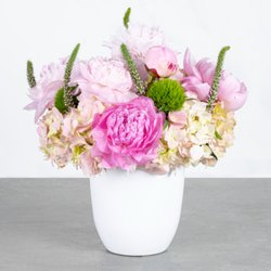 Jenny's Flowers - Sophia - Soft and Beautiful arrangement of pastel pinks, whites and touch of green. Designed w/ peonies, green trick, hydrangea in a 6" vase