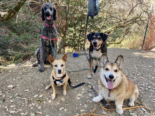 Doggy Day Care - Headed out and need a safe & convenient place for Fido to spend the day socializing and playing? Doggy Day Care - Headed out and need a safe & convenient place for Fido to spend the day socializing and playing?