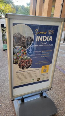 Tulane University by null