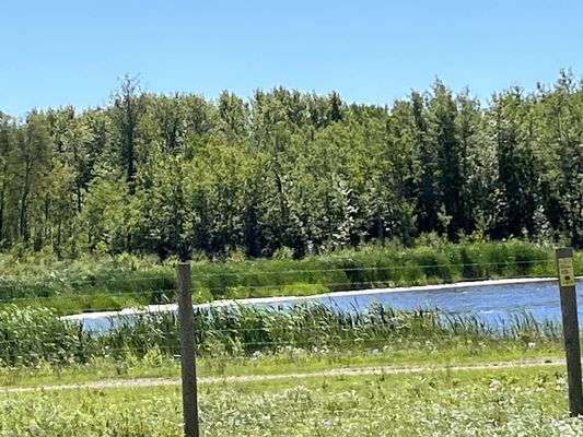 Elk Island National Park by null