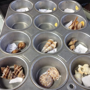 Beads & Rocks - Cupcake tin dividers - Arts & Crafts Near Me - Virginia Beach, Virginia Beads & Rocks - Cupcake tin dividers - Arts & Crafts Near Me - Virginia Beach, Virginia