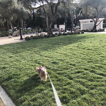 Moitozo Park - Parks Near Me - San Jose, California
