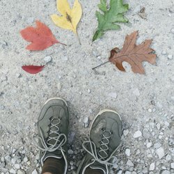 Hitz-Rhodehamel Nature Preserve