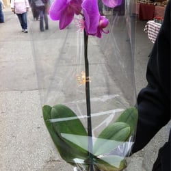 San Francisco State All Organics Farmers Market - They sell my favorite flowers which are orchids! :)