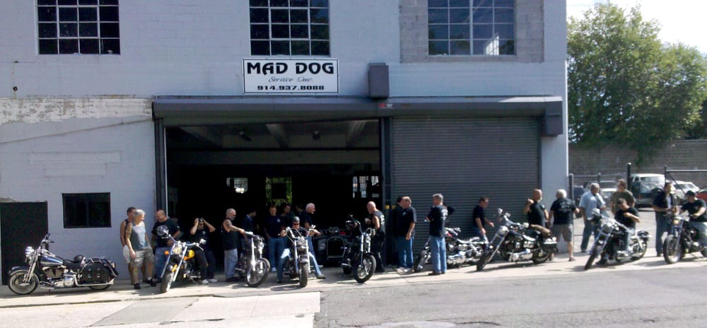 Photos For Mad Dog Service Yelp