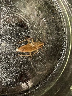 The Yards at Union Station by null