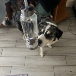 Mama's Minerals - Water bottle & Crystals from their shop
