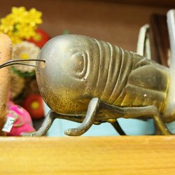 Vintage Inspired Lifestyle Marketplace - Hoppy Halloween! Hop on in to see us! Open until 5pm today.
