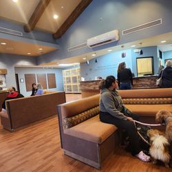 Haven Animal Hospital - Lobby of Haven Animal Hospital