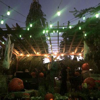 Merrihew's Sunset Gardens - Nurseries & Gardening Near Me - Santa Monica, California