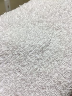 Humboldt Redwoods Inn by null