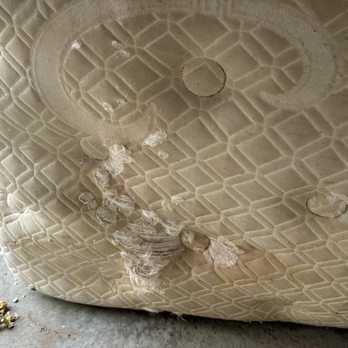 RightSpace Self Storage - Rodent Damage/Droppings - Self Storage Near Me - Victorville, California