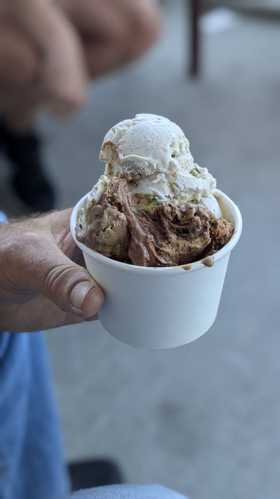 Marianne's Ice Cream Plant Logo