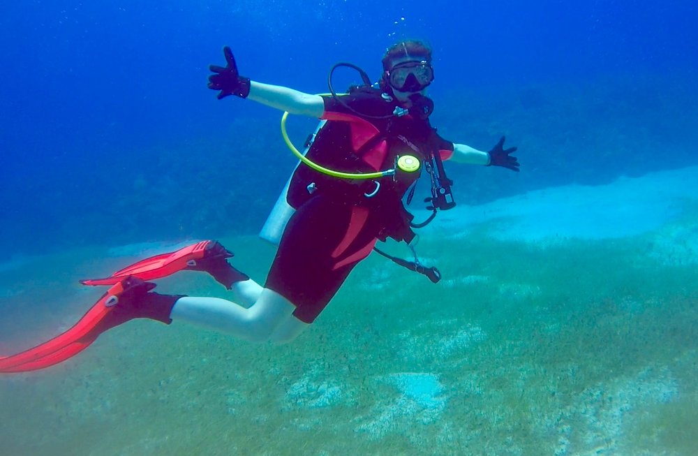 AQUAHOLICS DIVING Updated August 2024 14 Photos Raleigh, North