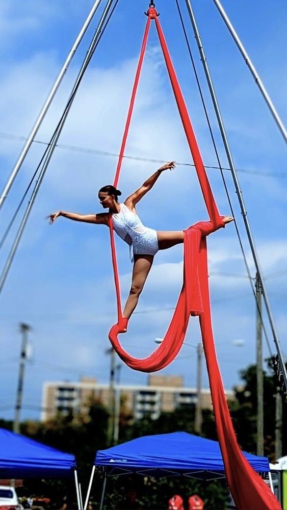 Twist & Twirl Aerial Fitness Logo