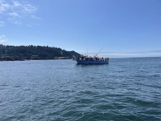 Whale's Tail Charters by null