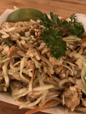 Burmese Delight by null