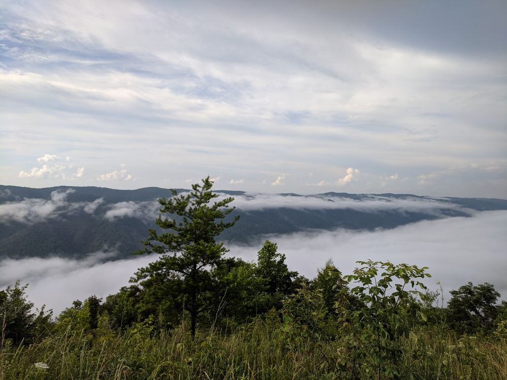 BLACK MOUNTAIN THUNDER ZIPLINE Updated August 2024 711 Bailey Creek