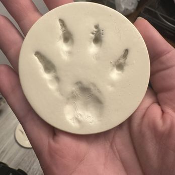 Only Cremations For Pets - Clay Plaw Print - Pet Transportation Near Me - Newport Beach, California Only Cremations For Pets - Clay Plaw Print - Pet Transportation Near Me - Newport Beach, California