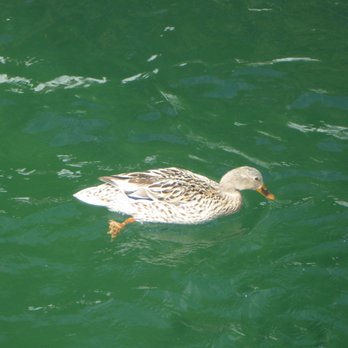 Lago di Garda - Lakes Near Me - Peschiera Del Garda, VR