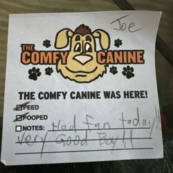 The Comfy Canine - Dog walk