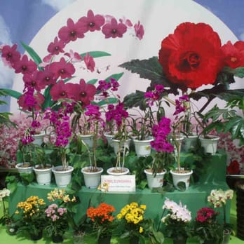 Floriade 2012 - Parks Near Me Floriade 2012 - Parks Near Me
