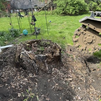 Bryan’s Stump Removal - Ugly rotting stump - Tree Services Near Me Bryan’s Stump Removal - Ugly rotting stump - Tree Services Near Me