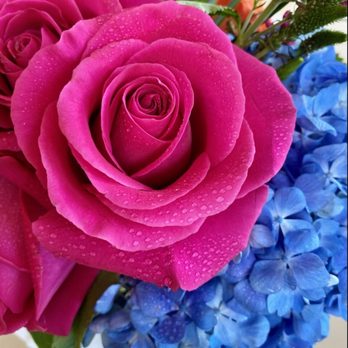 Walteria Flower Shop - Dew on roses. - Florists Near Me - Torrance, California Walteria Flower Shop - Dew on roses. - Florists Near Me - Torrance, California