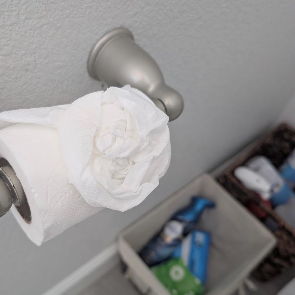 Vazquez Cleaning - Toilet paper rose - Home Cleaning Near Me Vazquez Cleaning - Toilet paper rose - Home Cleaning Near Me