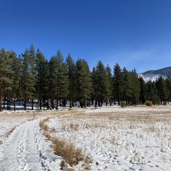 Lam Watah Trail to NV Beach - The trail in November (after the season's first snow storm) - Hiking Near Me Lam Watah Trail to NV Beach - The trail in November (after the season's first snow storm) - Hiking Near Me