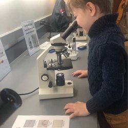 WET Science Center - Microscope activity area