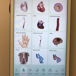 Heart Clinic PA - This interactive board helps doctors explain with 3D images.